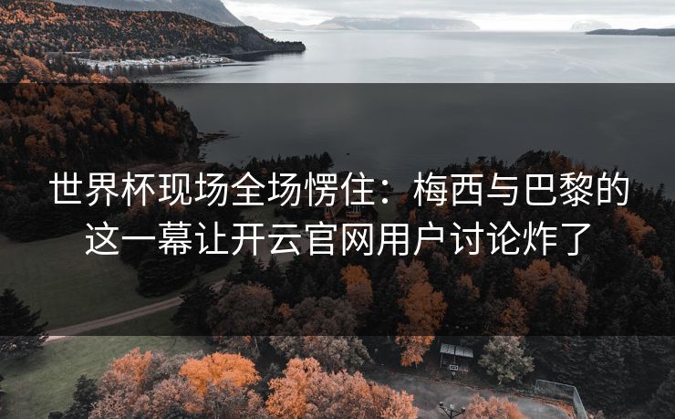 世界杯现场全场愣住：梅西与巴黎的这一幕让开云官网用户讨论炸了