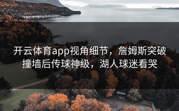 开云体育app视角细节，詹姆斯突破撞墙后传球神级，湖人球迷看哭